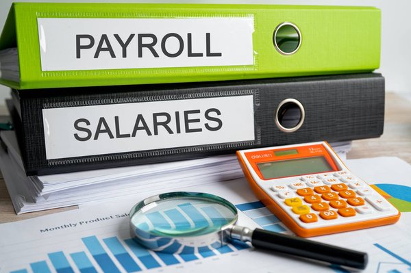 Payroll software for your company: how to choose the right tool?