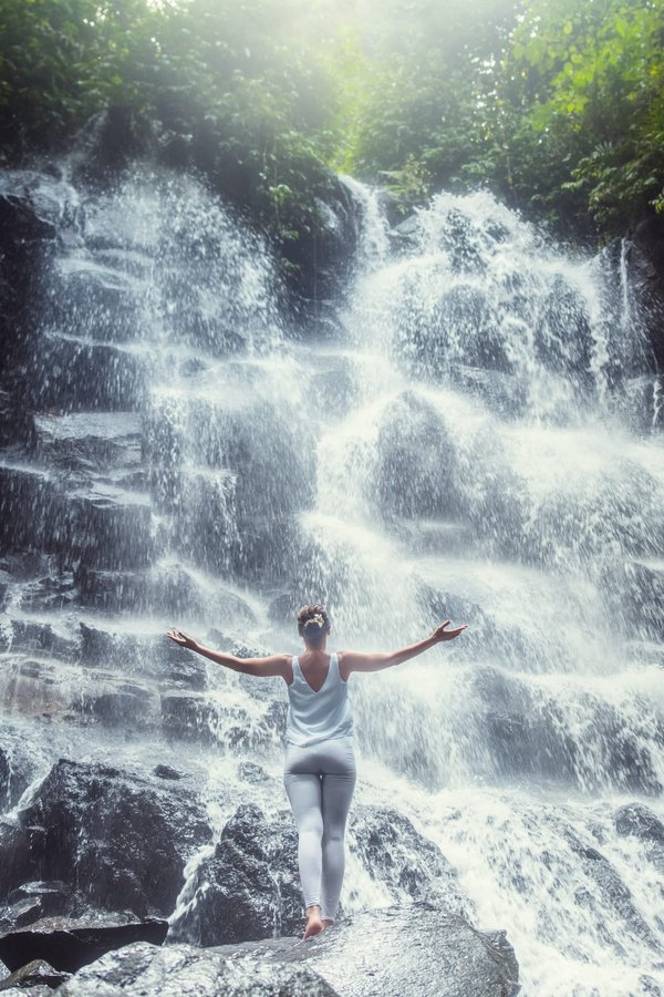 Choosing a pet bird that suits your lifestyle